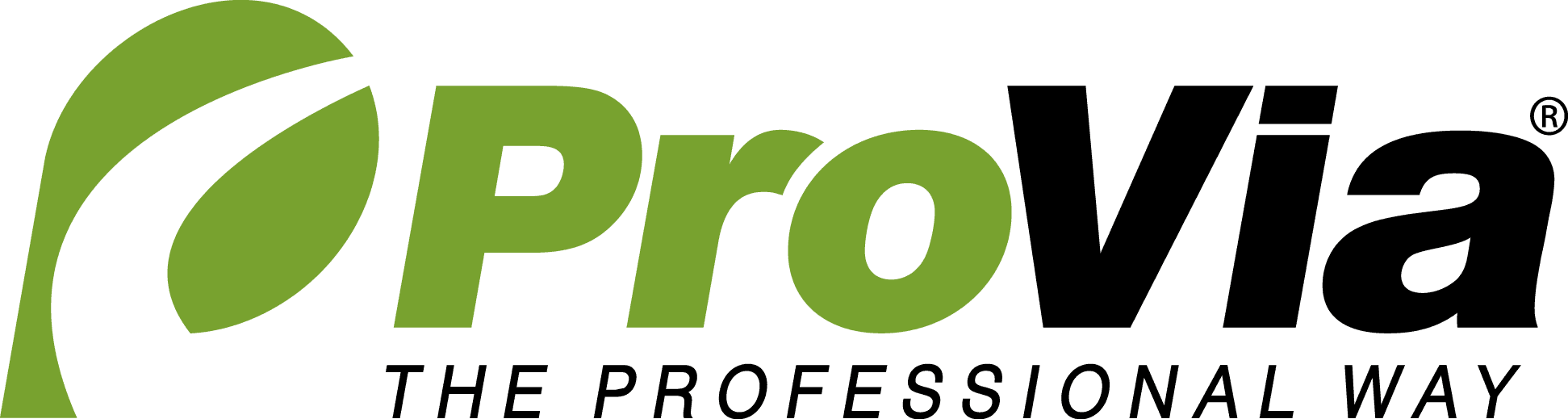 ProVia windows