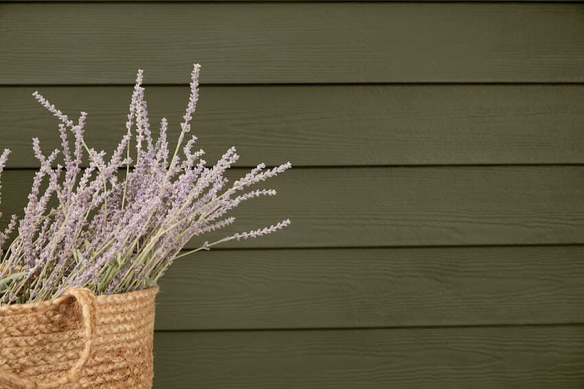 Deep olive lap siding detail